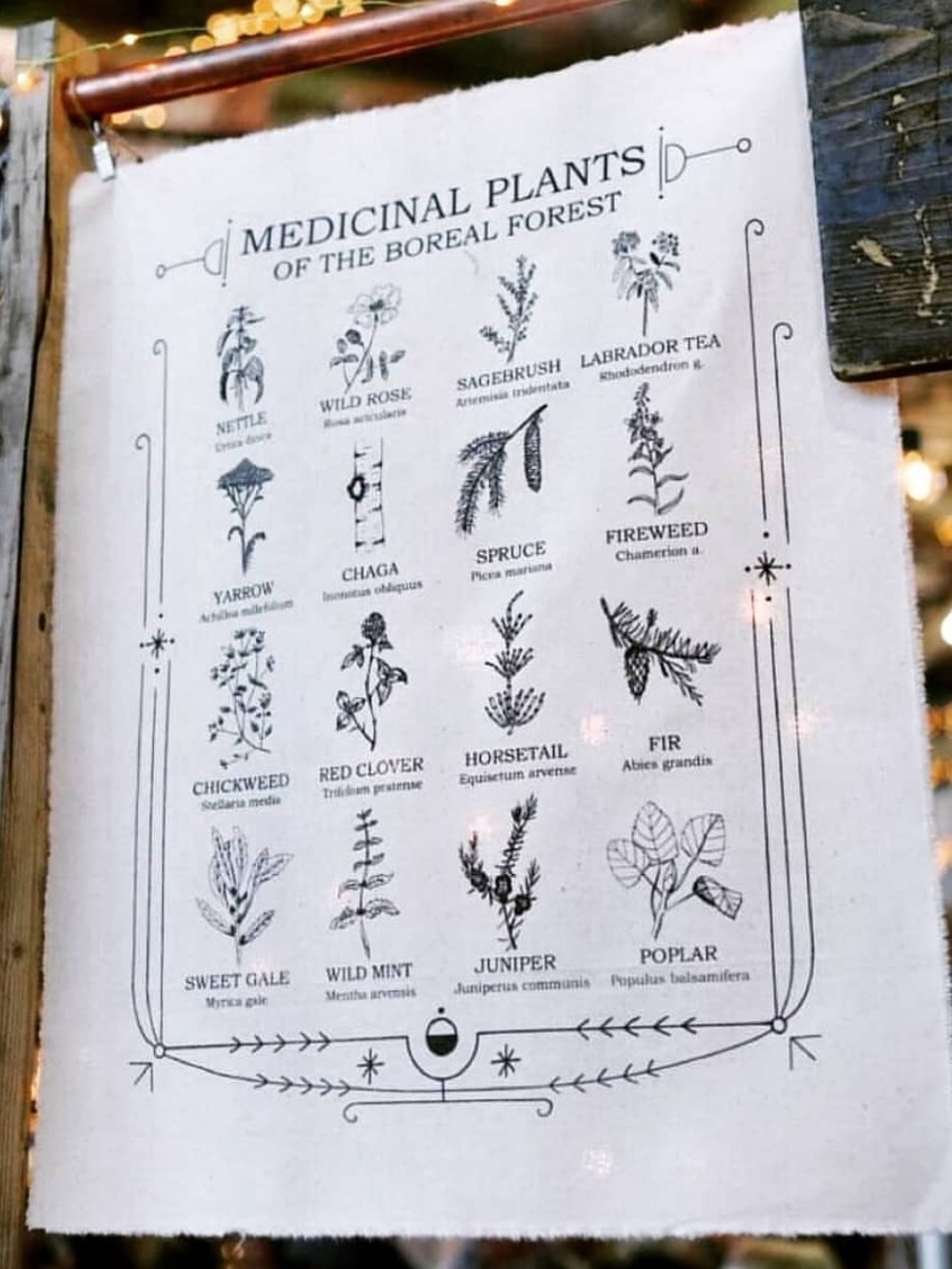 Boreal Folk Botanical Cloth Poster - Medicinal Plants of the Boreal Forest